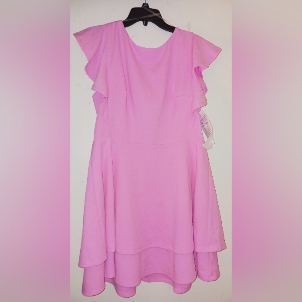 Gorgeous New Unworn With Tags Pink Ruffled Spring Dress